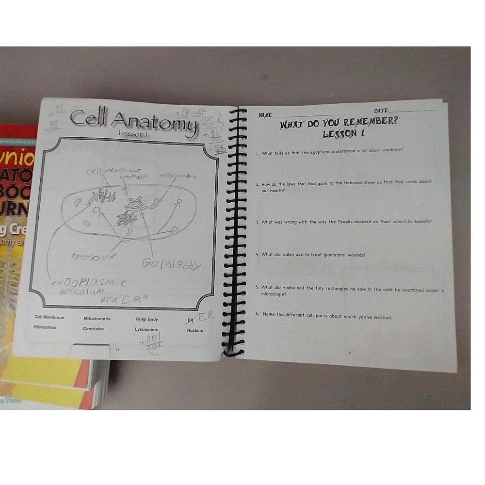 Apologia Exploring Creation Human Anatomy Notebooking Journal Jeannie Fulbright